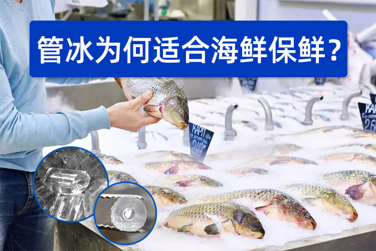管冰為何如此適合海鮮保鮮？